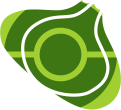 Bulbapedia icon.png