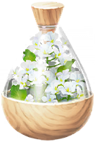White canola flower petals icon.png