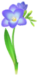 Blue freesia Big Flower icon.png