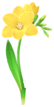 Yellow freesia Big Flower icon.png