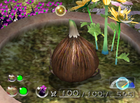 P2 Pilgrim Bulb Location.png