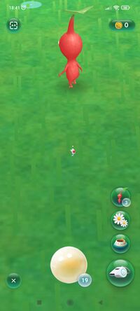 Pikmin Bloom tiny Pikmin.jpg