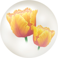 Yellow parrot tulip nectar icon.png