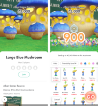 Mushroom Challenge Interface Paired.png