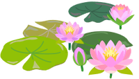 Red water lily flowers icon.png