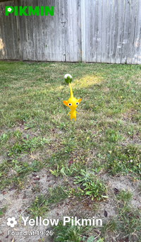 Pikmin Finder Yellow Pikmin.png
