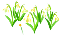 Yellow snowdrop flowers icon.png