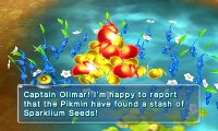Pikmin Park 50 stash.jpg