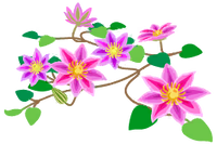 Red clematis flowers icon.png