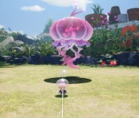 Greater Spotted Jellyfloat eating.jpg