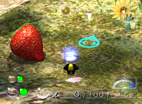 P2 Sunseed Berry Location.png