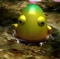 Idle Yellow Wollyhop.png
