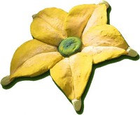 P2 Clay Golden Candypop Bud.jpg