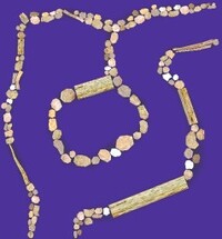 P2CU room 5x5a 2 kusachi.jpg