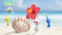 Summer Campaign Promotional Image.jpg