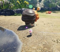 Fiery Bulblax extinguished P4.jpg