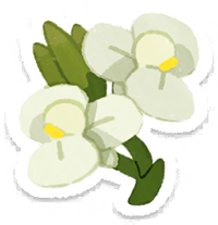 PB Lifelog Canna Lily White.png