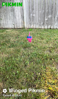 Pikmin Finder Winged Pikmin.png