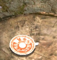 Seat of Enlightenment 1.jpg