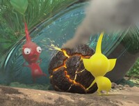 Treasure in a Bottle 5.jpg