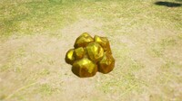 Gold Nugget.jpg