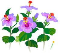 Blue hibiscus flowers icon.png