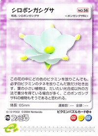 Ivory Candypop Bud E-Card.jpg