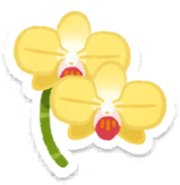 PB Lifelog Moth Orchid Yellow.png