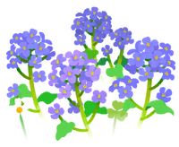 Blue canola flower flowers icon.png