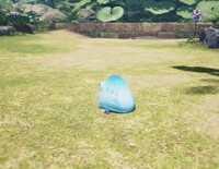 Chillyhop backside.jpg