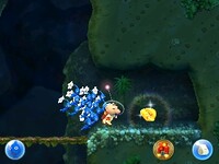 Downpour Thicket 4.jpg