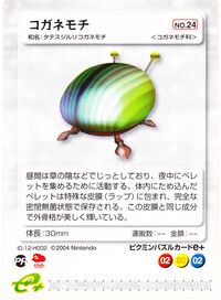 Iridescent Flint Beetle E-Card.jpg