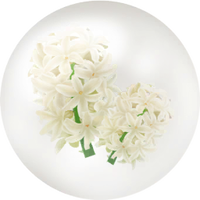 White hyacinth nectar icon.png