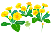 Yellow primrose flowers icon.png