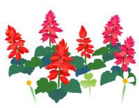 Red salvia flowers icon.png