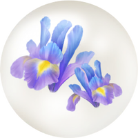 Blue iris nectar icon.png