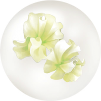 White sweet pea nectar icon.png