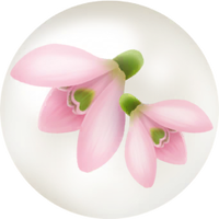 Red snowdrop nectar icon.png