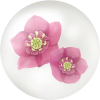 Red helleborus nectar icon.png