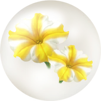 Yellow petunia nectar icon.png