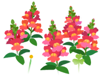 Red snapdragon flowers icon.png