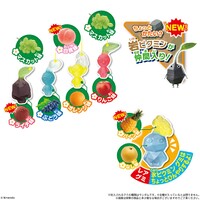 2026 Pikmin gummy flavors.jpg