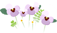 White pansy flowers icon.png