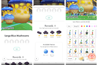 Mushroom Challenge Interface Paired 2.png