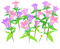 Red gentian flowers icon.png