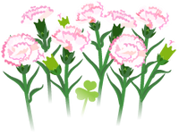 White carnation flowers icon.png
