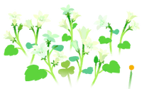White bellflower flowers icon.png