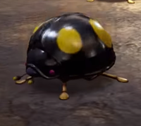 Anodebeetle4.png