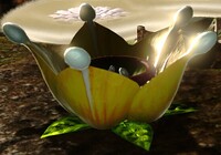 P3 Golden Candypop Bud.jpg