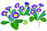 Blue primrose flowers icon.png